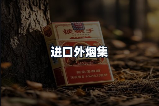 进口外烟集